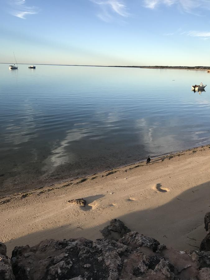 Beachside & Jetty View Apartment 6 - Captain'S Apt Streaky Bay Eksteriør billede
